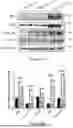 Fig. 08 - INTRACELLULAR CX3CL1 DOMAIN PEPTIDES AND USES THEREOF