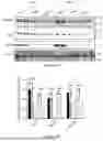Fig. 11 - INTRACELLULAR CX3CL1 DOMAIN PEPTIDES AND USES THEREOF