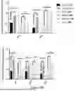Fig. 13 - INTRACELLULAR CX3CL1 DOMAIN PEPTIDES AND USES THEREOF