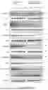 Fig. 25 - INTRACELLULAR CX3CL1 DOMAIN PEPTIDES AND USES THEREOF