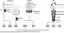 Fig. 01 - PSCA CAR-T CELLS