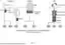 Fig. 04 - PSCA CAR-T CELLS