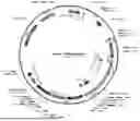Fig. 01 - MONOCLONAL ANTIBODY ISOLATION