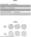 Fig. 02 - Hard Surface Cleaning Composition and Cleaning Method
