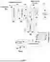 Fig. 02 - DIRECT RECTIFICATION OF MOLECULAR SIEVE REGENERANT AND METHOD OF USING THE SAME