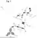 Fig. 02 - MARKER AND METHOD FOR ANALYSING A BIOLOGICAL SAMPLE