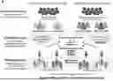 Fig. 01 - Mapping CpG Sites to Quantify Aging Traits