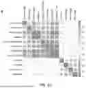 Fig. 04 - Mapping CpG Sites to Quantify Aging Traits