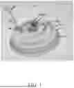 Fig. 02 - SWIMMING POOL LIGHT AND DRAIN LEAK DETECTION DEVICES