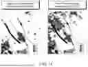 Fig. 15 - SYSTEMS AND METHODS OF GENERATING AND USING PSEUDO-OFFSET GATHERS FOR SEISMIC IMAGING