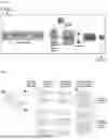 Fig. 06 - METHOD AND SYSTEM FOR PROVIDING INTELLIGENT RESPONSE AGENT BASED ON SOPHISTICATED REASONING AND INFERENCE FUNCTION