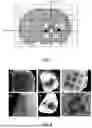 Fig. 06 - High Resolution Alignment of 3D Imaging with 2D Imaging