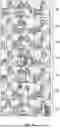 Fig. 07 - NEURAL ARCHITECTURE SEARCH FOR IMAGE GENERATION MODELS