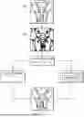 Fig. 01 - ALIGNING TRACES TO GEOMETRIC SHAPES