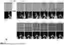 Fig. 08 - Visual Prompt Tuning for Generative Transfer Learning