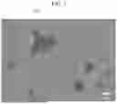Fig. 09 - COMPOSITE PARTICLE AND MULTILAYER CERAMIC CAPACITOR INCLUDING THE SAME