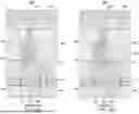 Fig. 28 - EPITAXIAL REGION CONTACT STRUCTURE