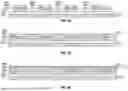 Fig. 08 - OPTICAL EMITTER STRUCTURES WITH INTEGRATED DISTRIBUTED BRAGG REFLECTORS