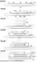 Fig. 07 - LIGHT EMITTING DEVICE