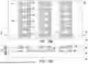 Fig. 16 - MANUFACTURING METHOD OF DISPLAY PANEL
