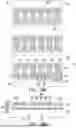 Fig. 19 - MANUFACTURING METHOD OF DISPLAY PANEL