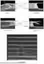 Fig. 09 - LIGHT-EMITTING SUBSTRATE AND BACKLIGHT MODULE