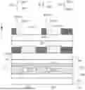 Fig. 01 - PIXEL ARRANGEMENT, DISPLAY SUBSTRATE, AND DISPLAY DEVICE