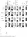 Fig. 04 - PIXEL ARRANGEMENT, DISPLAY SUBSTRATE, AND DISPLAY DEVICE