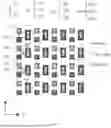 Fig. 06 - PIXEL ARRANGEMENT, DISPLAY SUBSTRATE, AND DISPLAY DEVICE