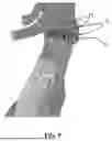 Fig. 06 - METHOD FOR MODELLING AN ENDOPROTHESIS IMPLANTED IN A PORTION OF A PATIENT AORTA