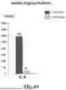 Fig. 06 - Use of Polysaccharide for Treating ST-Elevation Myocardial Infarction and Diseases of the Digestion System