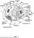 Fig. 02 - STEM CELL AND SOMATIC CELL REPROGRAMMING WITH GENE ENHANCED STEM CELLS TO RESTORE AGE RELATED FOR PHYSICAL FUNCTIONS TO EXTEND LONGEVITY