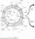 Fig. 03 - STEM CELL AND SOMATIC CELL REPROGRAMMING WITH GENE ENHANCED STEM CELLS TO RESTORE AGE RELATED FOR PHYSICAL FUNCTIONS TO EXTEND LONGEVITY