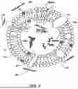 Fig. 04 - STEM CELL AND SOMATIC CELL REPROGRAMMING WITH GENE ENHANCED STEM CELLS TO RESTORE AGE RELATED FOR PHYSICAL FUNCTIONS TO EXTEND LONGEVITY