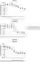 Fig. 01 - ANTIBODY DRUG CONJUGATES