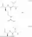 Fig. 46 - ANTIBODY DRUG CONJUGATES