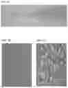 Fig. 04 - SIZE-TUNABLE SYNTHETIC PARTICLES FOR IMMUNE CELL ACTIVATION