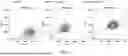 Fig. 08 - SIZE-TUNABLE SYNTHETIC PARTICLES FOR IMMUNE CELL ACTIVATION