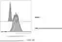 Fig. 27 - SIZE-TUNABLE SYNTHETIC PARTICLES FOR IMMUNE CELL ACTIVATION