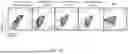 Fig. 31 - SIZE-TUNABLE SYNTHETIC PARTICLES FOR IMMUNE CELL ACTIVATION