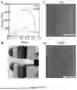 Fig. 09 - FABRICATED ENGINEERED SKIN DERMIS COMPOSITIONS AND METHODS THEREOF