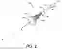 Fig. 03 - EPIDERMIS ANCHORING SYSTEM FOR DELIVERY TOOL