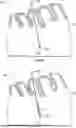 Fig. 01 - AGENT DELIVERY CATHETER