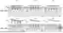 Fig. 05 - APPLICATOR FOR A MICRONEEDLE ARRAY PATCH DELIVERY SYSTEM