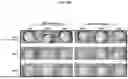Fig. 45 - APPLICATOR FOR A MICRONEEDLE ARRAY PATCH DELIVERY SYSTEM