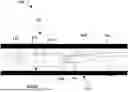 Fig. 01 - ASSEMBLABLE PUMP SYSTEM AND RELATED METHODS