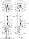 Fig. 09 - ASSEMBLABLE PUMP SYSTEM AND RELATED METHODS