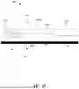 Fig. 24 - ASSEMBLABLE PUMP SYSTEM AND RELATED METHODS