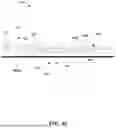 Fig. 27 - ASSEMBLABLE PUMP SYSTEM AND RELATED METHODS