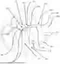 Fig. 01 - HEART FAILURE ASSISTANCE
